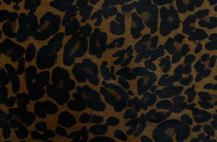 Clearance Product Fullsize