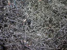 Clearance Product Fullsize