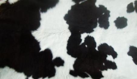 Clearance Product Fullsize