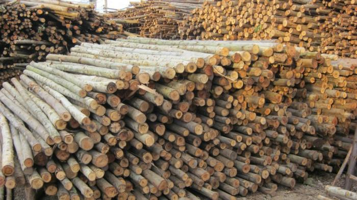 Clearance Product Fullsize