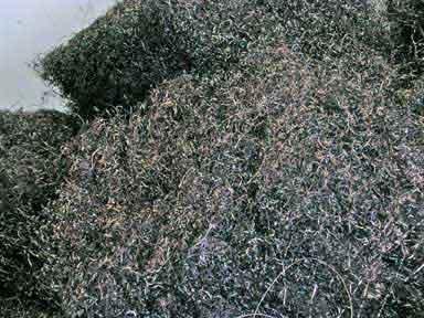 Clearance Product Fullsize