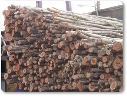 Clearance Product Fullsize