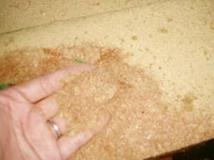 Clearance Product Fullsize