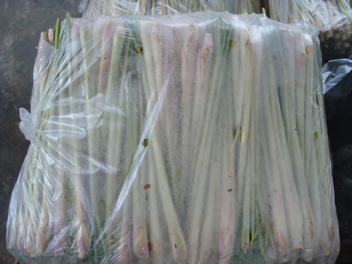 Clearance Product Fullsize