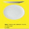 Circular Dinner Plate S