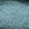 scrap hdpe 