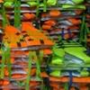 ͪ٪վ Life Jacket Ҥ ҡçҹ 295 ҷ