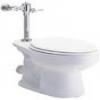 Դ sydney flush valve ʢѳѪ
