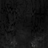 ˹ѧ§ - P015