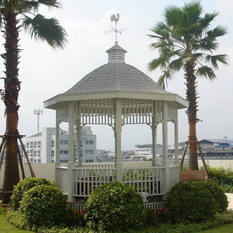 My Image 19