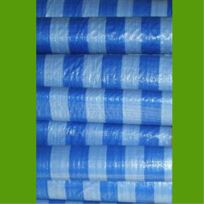 �����������ͺ (Blue Sheet)