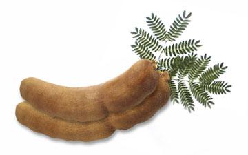 �Т�� 5 �� (Sweet Flesh Tamarind)