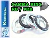GAMMA SEAL RB,9RB Gamma seal, axial rotary shaft seal