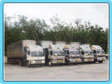 Cold Logistic