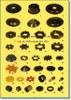 RUBBER COUPLING (�ҧ���)