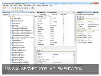 PRODUCT MS SQL Server 2008 Implementation : บริษัท นายน์เอ็กซ์เพิร์ท ...