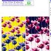 SP001 #ʻѹ06 ˹�ҡ��ҧ 36