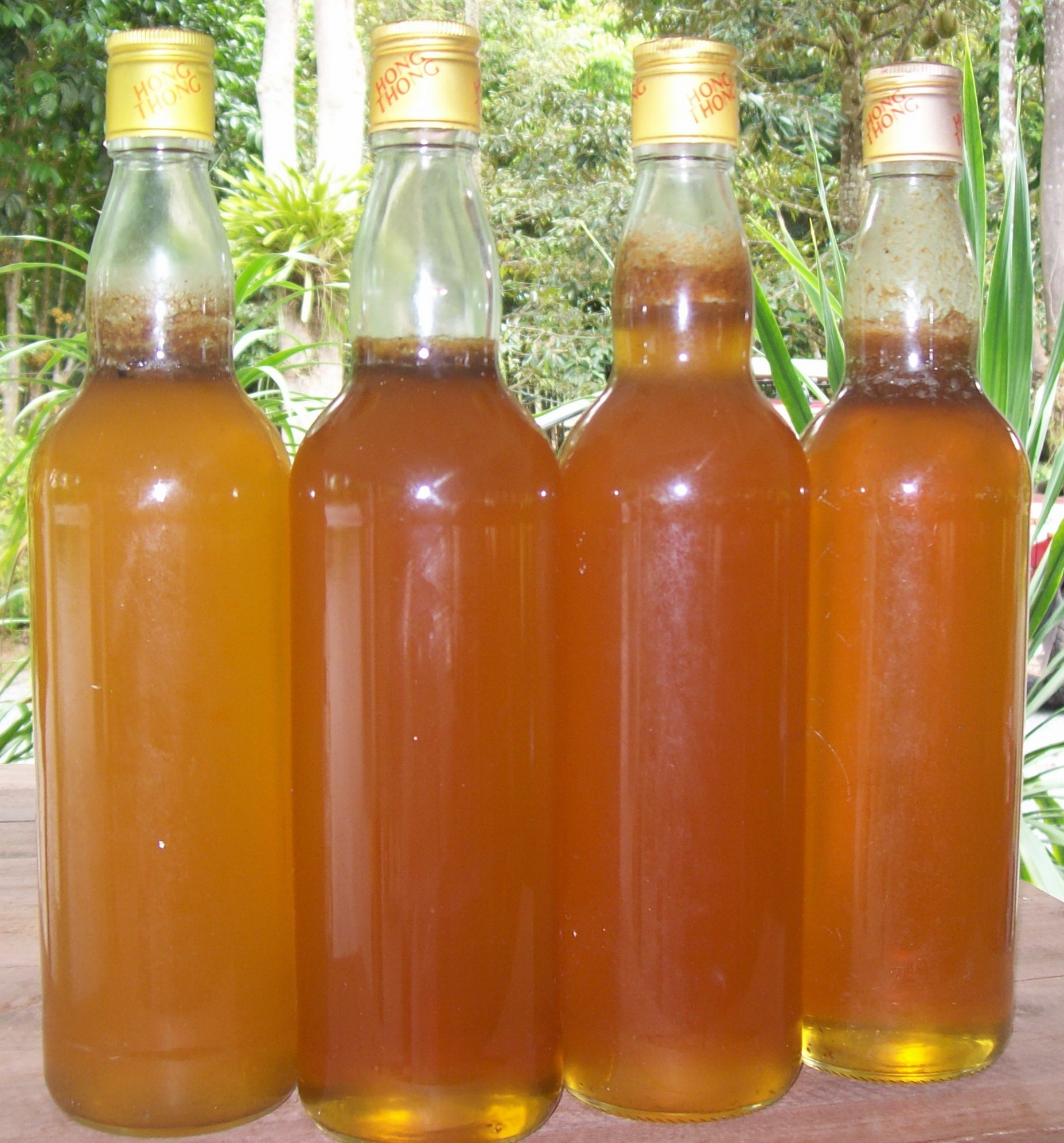 Close-up of a Thai honeycomb frame, symbolizing the natural occurrence of phosphorus in biological systems like honey and bee products
