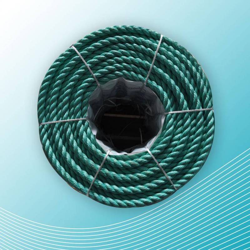 PRODUCT Combo rope C?ng ty TNHH D?y S?i r?ng ? Ch?u Asia Dragon