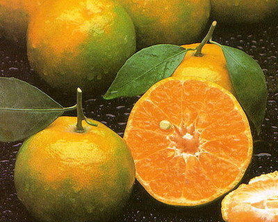 PRODUCT ส้ม (Orange) : นวพันธุ์ฟาร์ม | Navaphan Farm